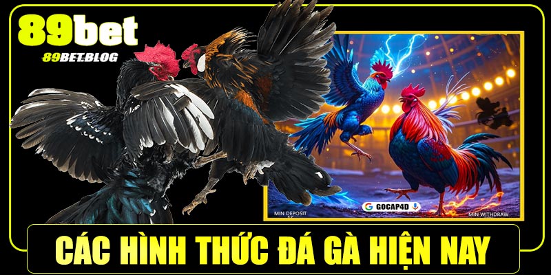 Các hình thức đá gà hiện nay