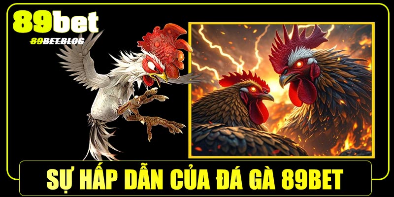 Vì sao đá gà 89Bet được yêu thích đến vậy?