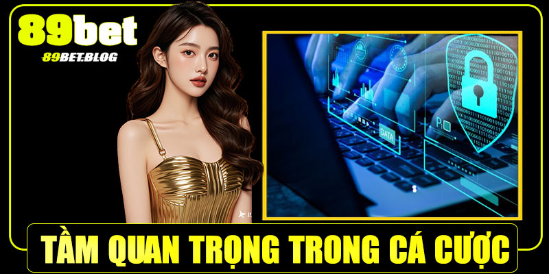 Tầm quan trọng của chính sách bảo mật tại 89Bet