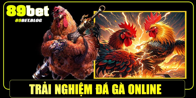 Trải nghiệm đá gà online như thật tại 89BetTrải nghiệm đá gà online như thật tại 89Bet